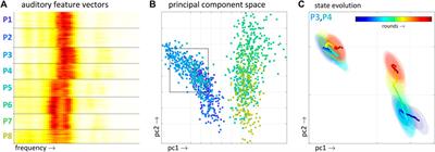 Relaxation, Percolation, and Non-Spontaneous Fluctuation of Linguistic Behavior in a Quasi-Isolated System